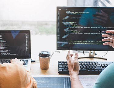 Web Development