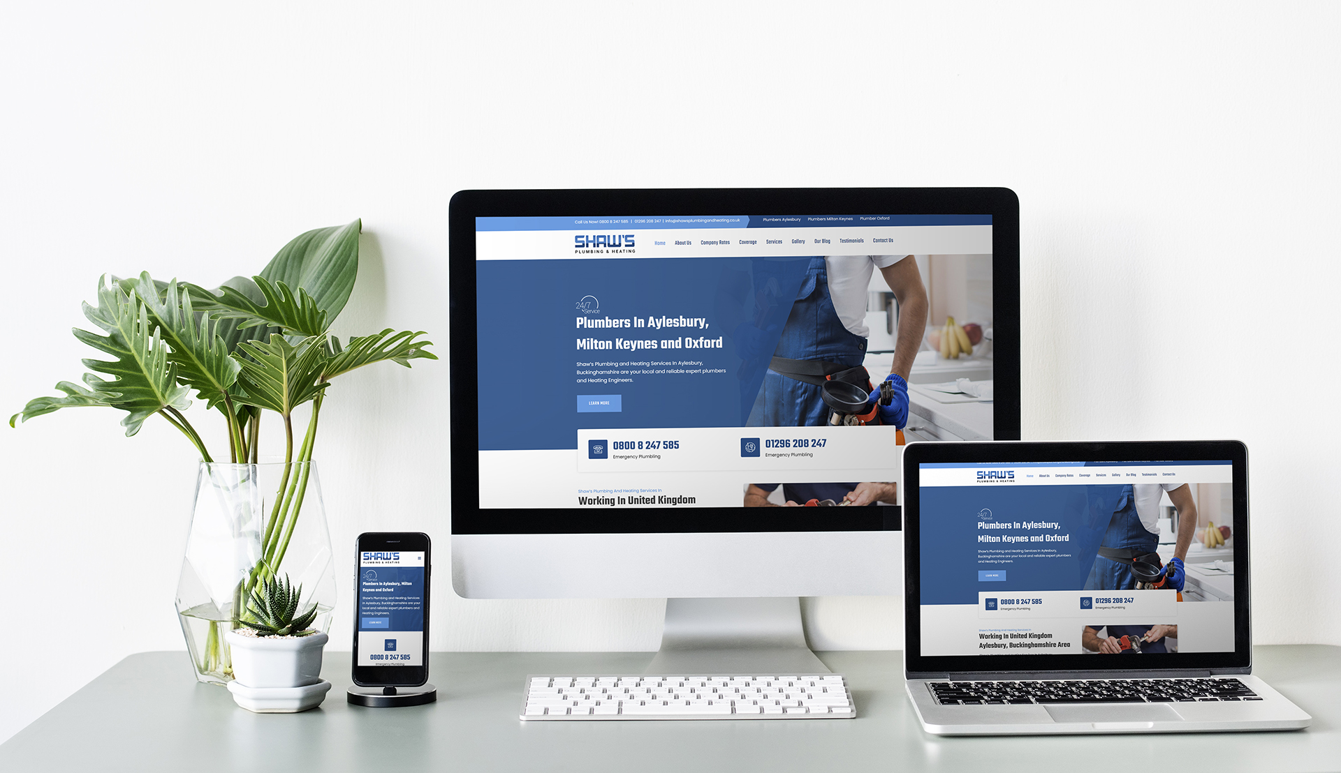 Ecommerce Website Design